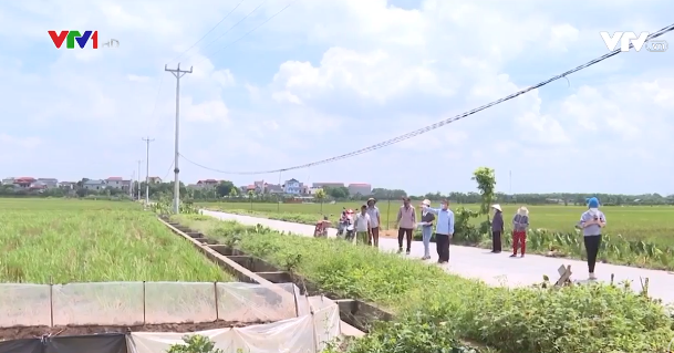 Huyện Đông Anh: Tiểu ban dồn điền đổi thửa xã tự ý chia đất cho nhau? - Ảnh 1.