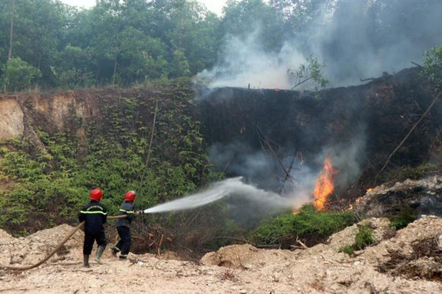 5 vụ cháy rừng liên tiếp trong 5 ngày tại Thừa Thiên - Huế - Ảnh 2.