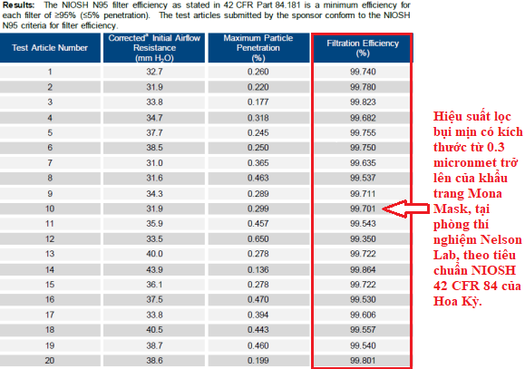 Khẩu trang ứng dụng công nghệ nano lọc 99% bụi siêu mịn - Ảnh 4.