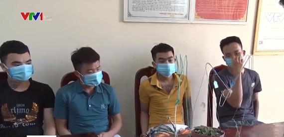 Bỏ tiền tỷ mua phải 3 cây lan đột biến giả - Ảnh 2. Bỏ tiền tỷ mua phải 3 cây lan đột biến giả - Ảnh 2.