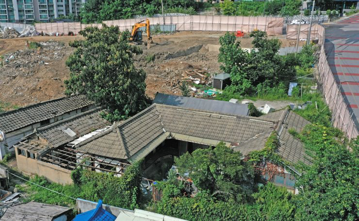 Bộ phim kinh điển H&agrave;n Quốc "Bản t&igrave;nh ca m&ugrave;a đ&ocirc;ng" trở lại Nhật sau 24 năm - Ảnh 1.