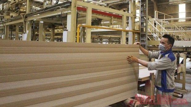 
Production at the VRG Quang Tri MDF Wood Joint Stock Company (Photo: NDO/Lam Quang Huy)
