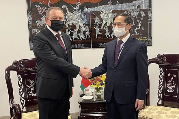 
Minister of Foreign Affairs Bui Thanh Son (R) meets Belarusian FM Vladimir Makei (Photo: VNA)
