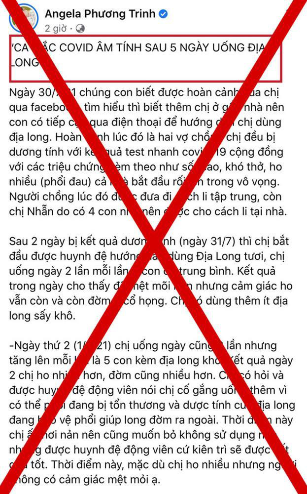 Sau Angela Phương Trinh, một 9X ở Cần Thơ lại đăng tin thất thiệt “giun đất trị COVID-19” - Ảnh 2.