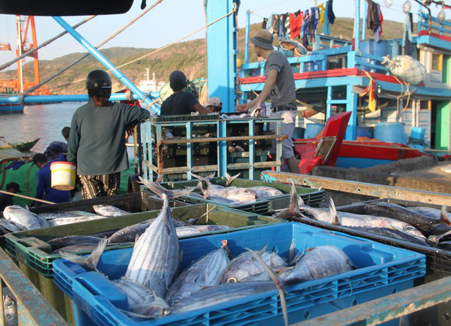 Phó Thủ tướng chỉ đạo tháo gỡ khó khăn trong sản xuất thủy sản do dịch bệnh - Ảnh 1.