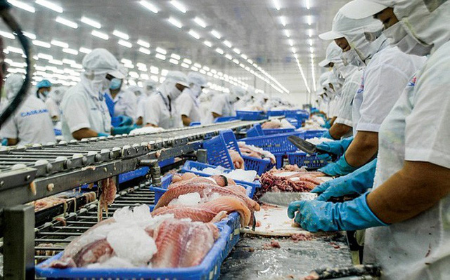 Ngành thuỷ sản cần làm gì để chặn nguy cơ đứt gãy chuỗi cung ứng? - Ảnh 1. Ngành thuỷ sản cần làm gì để chặn nguy cơ đứt gãy chuỗi cung ứng? - Ảnh 1.