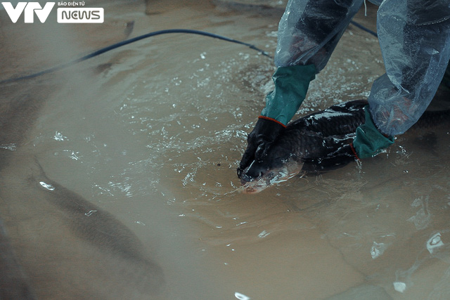 C&aacute; kho ni&ecirc;u đất l&agrave;ng Vũ Đại &ldquo;rực lửa&rdquo; th&acirc;u đ&ecirc;m đ&oacute;n Tết Nguy&ecirc;n đ&aacute;n - Ảnh 2.