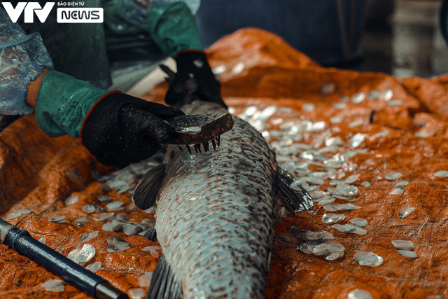 C&aacute; kho ni&ecirc;u đất l&agrave;ng Vũ Đại &ldquo;rực lửa&rdquo; th&acirc;u đ&ecirc;m đ&oacute;n Tết Nguy&ecirc;n đ&aacute;n - Ảnh 4.