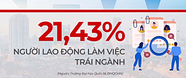 Học ngành này, làm nghề khác - Bài toán về sự định hướng - Ảnh 2.