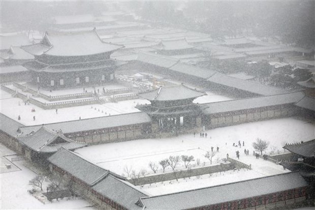 Hàn Quốc tiếp tục nâng mức cảnh báo thiên tai do tuyết rơi dày - Ảnh 1.