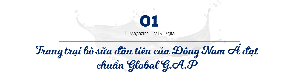 Bộ sưu tập các mô hình trang trại bò sữa ấn tượng của Vinamilk - Ảnh 1.