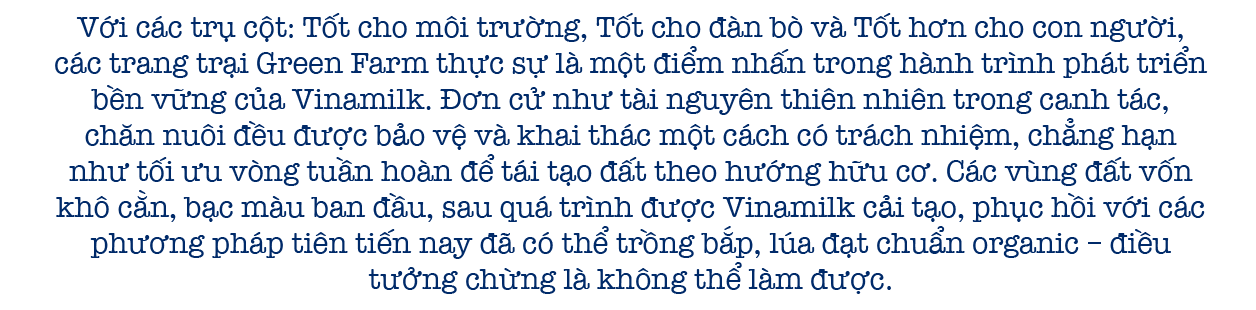 Bộ sưu tập các mô hình trang trại bò sữa ấn tượng của Vinamilk - Ảnh 12.