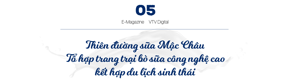 Bộ sưu tập các mô hình trang trại bò sữa ấn tượng của Vinamilk - Ảnh 15.