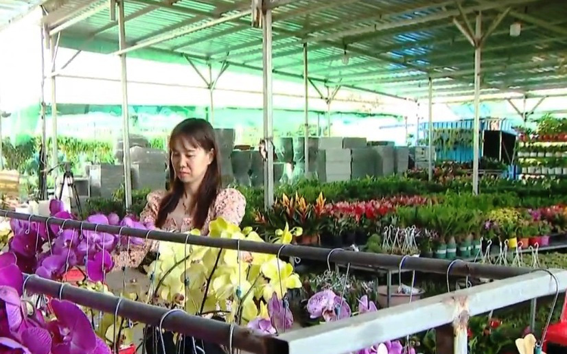 N&eacute;t xu&acirc;n Việt tr&ecirc;n đất nước ch&ugrave;a th&aacute;p- Ảnh 2.