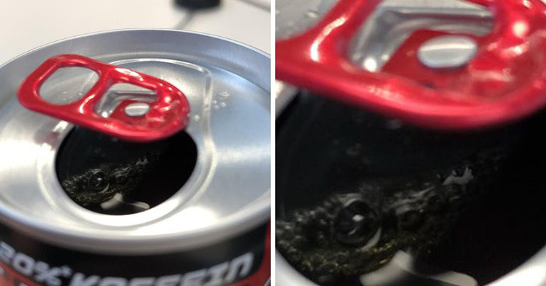 Thư gi&atilde;n với ch&ugrave;m ảnh đ&aacute;nh lừa thị gi&aacute;c - Ảnh 12.