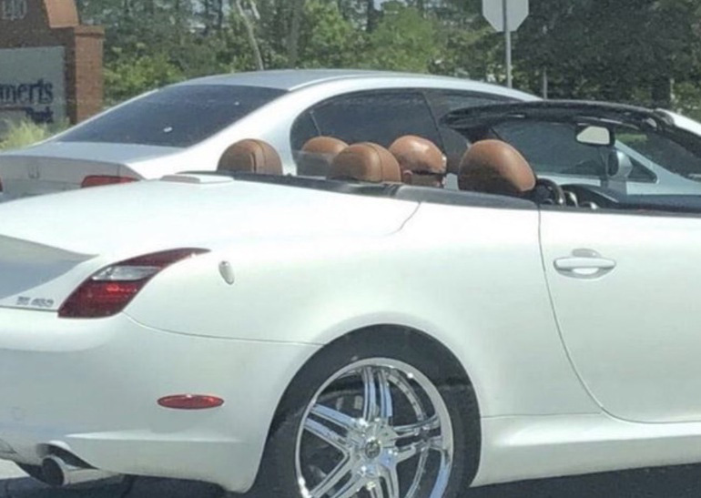 Thư gi&atilde;n với ch&ugrave;m ảnh đ&aacute;nh lừa thị gi&aacute;c - Ảnh 15.