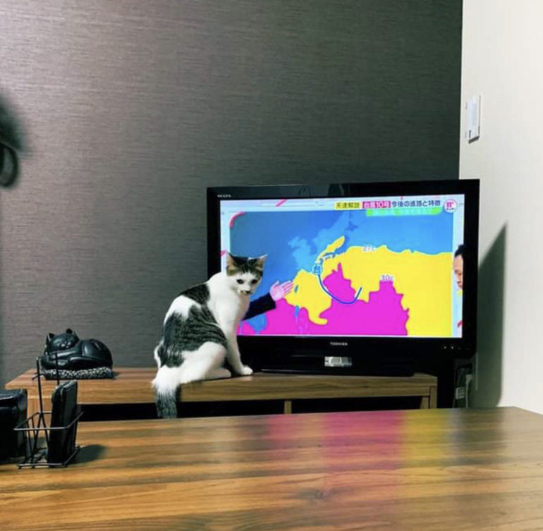 Thư gi&atilde;n với ch&ugrave;m ảnh đ&aacute;nh lừa thị gi&aacute;c - Ảnh 17.