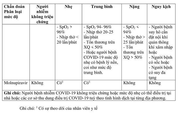 Bộ Y tế bổ sung hướng dẫn sử dụng thuốc Molnupiravir và Remdesivir điều trị COVID-19 - Ảnh 1.