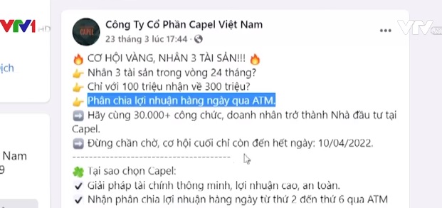 Bất thường “Chương trình hợp tác kinh doanh” của công ty Capel - Ảnh 1.