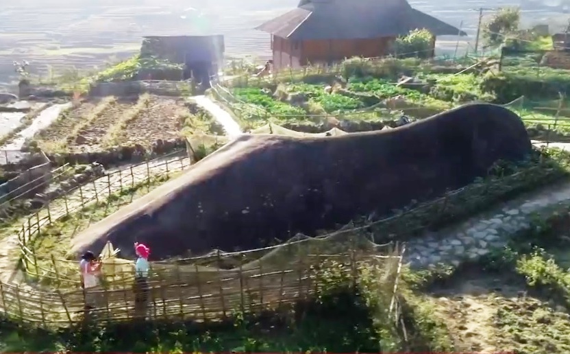 C&ocirc; g&aacute;i d&acirc;n tộc thiểu số l&agrave;m du lịch online - Ảnh 1.