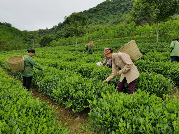 Tăng cường liên kết vùng - Định hướng quan trọng tại Nghị quyết số 11 - Ảnh 1.