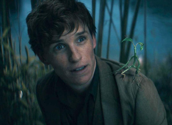 Fantastic Beasts 3: Hé lộ những bí mật của thế giới pháp thuật - Ảnh 3.