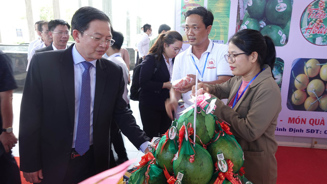 B&igrave;nh Định mời gọi đầu tư x&acirc;y dựng 9 khu c&ocirc;ng nghiệp - Ảnh 2.