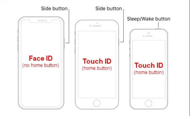 Những iPhone n&agrave;o c&oacute; Touch ID? - Ảnh 1.