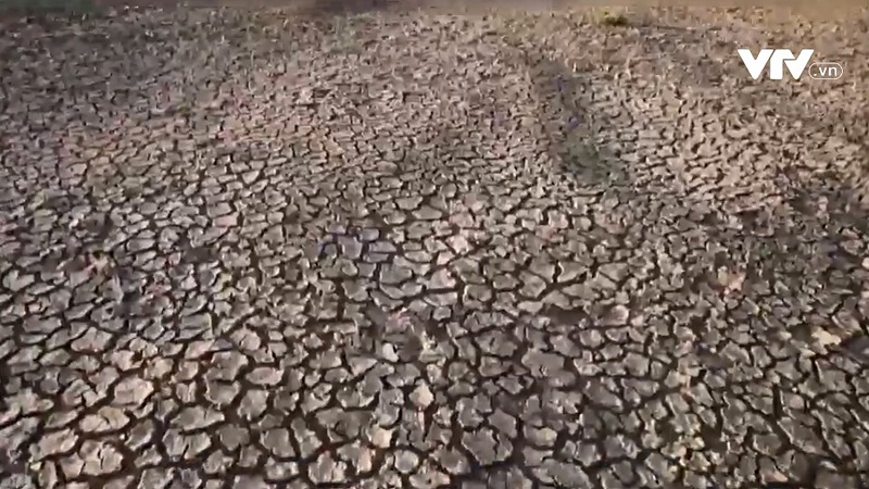 Sa mạc h&oacute;a - th&aacute;ch thức của biến đổi kh&iacute; hậu - Ảnh 1.