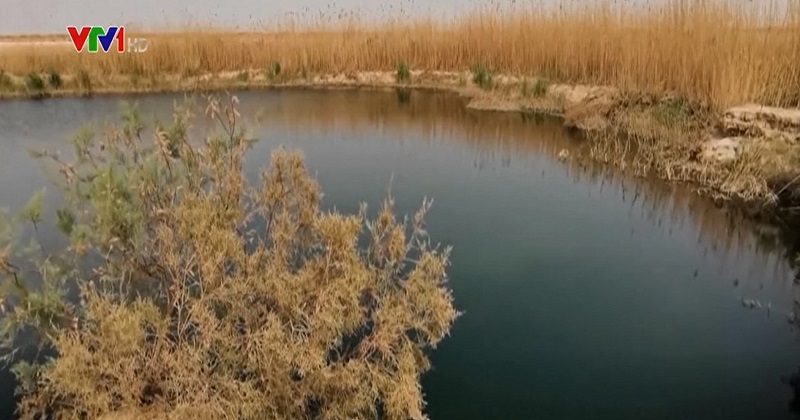 Sa mạc h&oacute;a - th&aacute;ch thức của biến đổi kh&iacute; hậu - Ảnh 2.