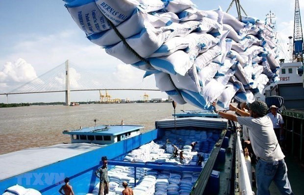 
Rice for export (Photo: VNA)
