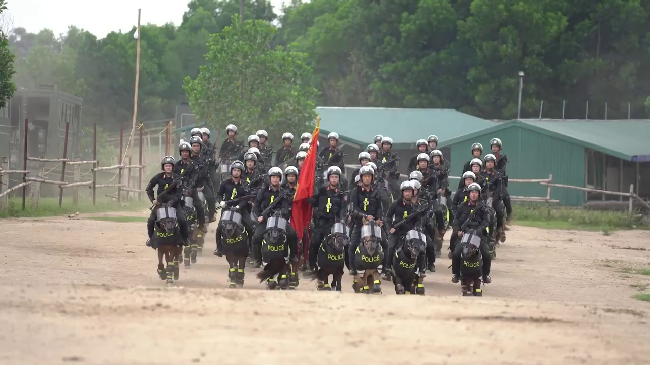 Ph&iacute;a sau m&agrave;n diễu h&agrave;nh m&atilde;n nh&atilde;n của Cảnh s&aacute;t cơ động kỵ binh - Ảnh 4.