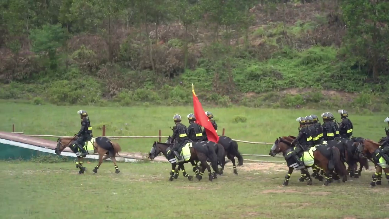 Ph&iacute;a sau m&agrave;n diễu h&agrave;nh m&atilde;n nh&atilde;n của Cảnh s&aacute;t cơ động kỵ binh - Ảnh 15.