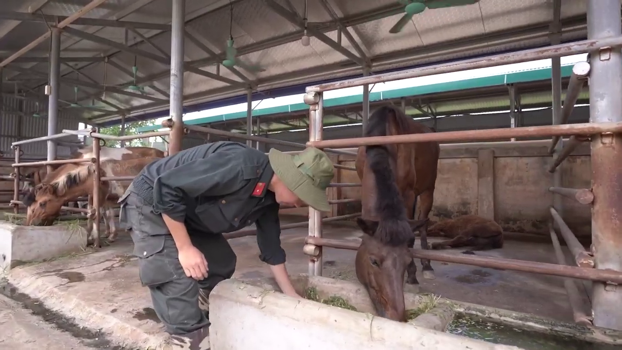 Ph&iacute;a sau m&agrave;n diễu h&agrave;nh m&atilde;n nh&atilde;n của Cảnh s&aacute;t cơ động kỵ binh - Ảnh 7.