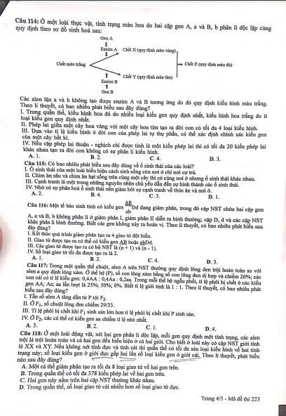 Gợi ý đáp án môn Sinh học trong tổ hợp KHTN - Ảnh 12.