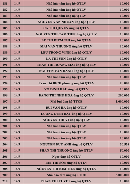Quỹ Tấm lòng Việt: Danh sách ủng hộ tuần 3 tháng 9/2022 - Ảnh 7.