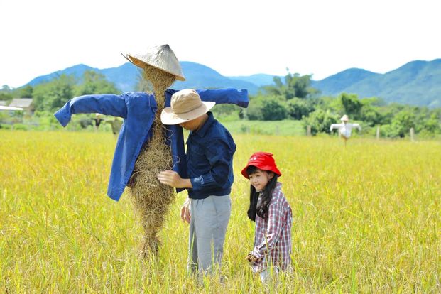 Loạt hình khắc khổ của Thái Hòa trong phim mới sắp lên sóng VTV - Ảnh 7.