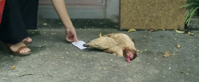 Đấu trí - Tập 54: Nhà Vũ bị đe dọa, Phong ra tay xử lý Thạo sói - Ảnh 5. Đấu trí - Tập 54: Nhà Vũ bị đe dọa, Phong ra tay xử lý Thạo sói - Ảnh 5.