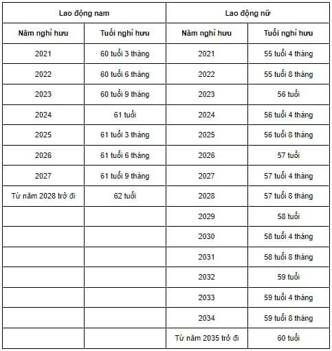 Quy định về tuổi nghỉ hưu của người lao động năm 2023 - Ảnh 1.