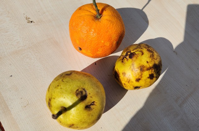 Bữa cơm ngon nhất v&agrave; m&oacute;n qu&agrave; đặc biệt m&agrave; c&aacute;c Sứ giả nh&acirc;n đạo Việt Nam nhận được trước khi v&agrave;o trận mới - Ảnh 14.