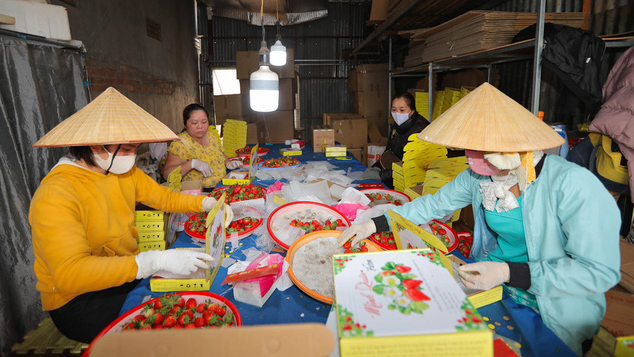 Doanh nghiệp Lâm Đồng tăng tốc sản xuất ngay từ đầu năm - Ảnh 2.