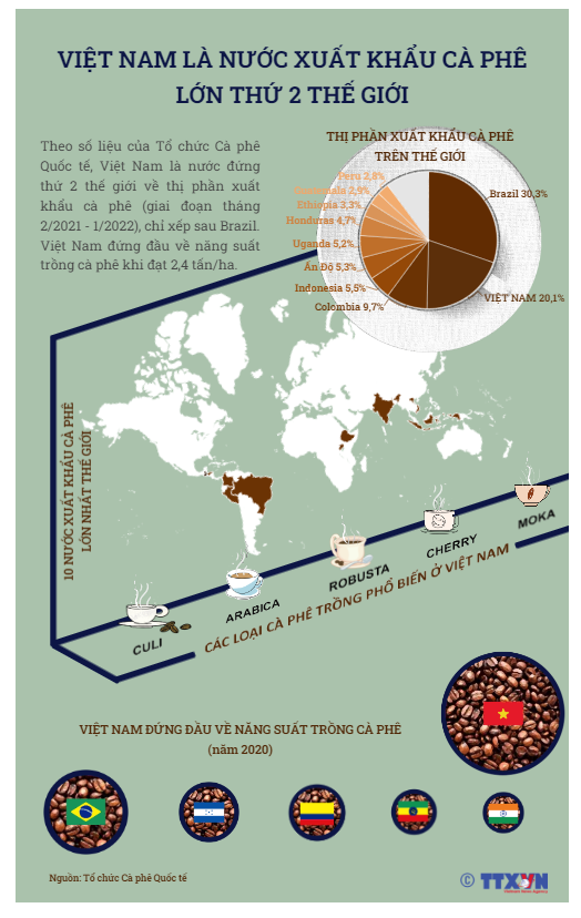 [INFOGRAPHIC] Việt Nam là nước xuất khẩu cà phê lớn thứ 2 thế giới - Ảnh 1.