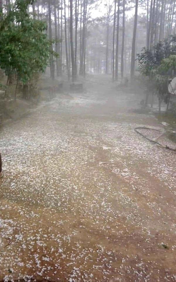 Đà Lạt xuất hiện mưa đá bất thường giữa mùa khô - Ảnh 4.