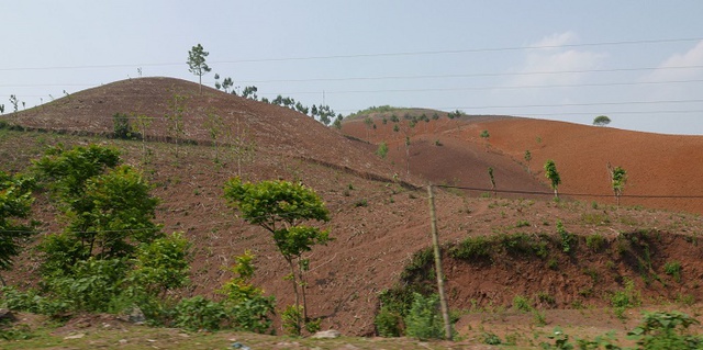 Cả nước c&ograve;n gần 1,2 triệu ha đất chưa sử dụng - Ảnh 1.