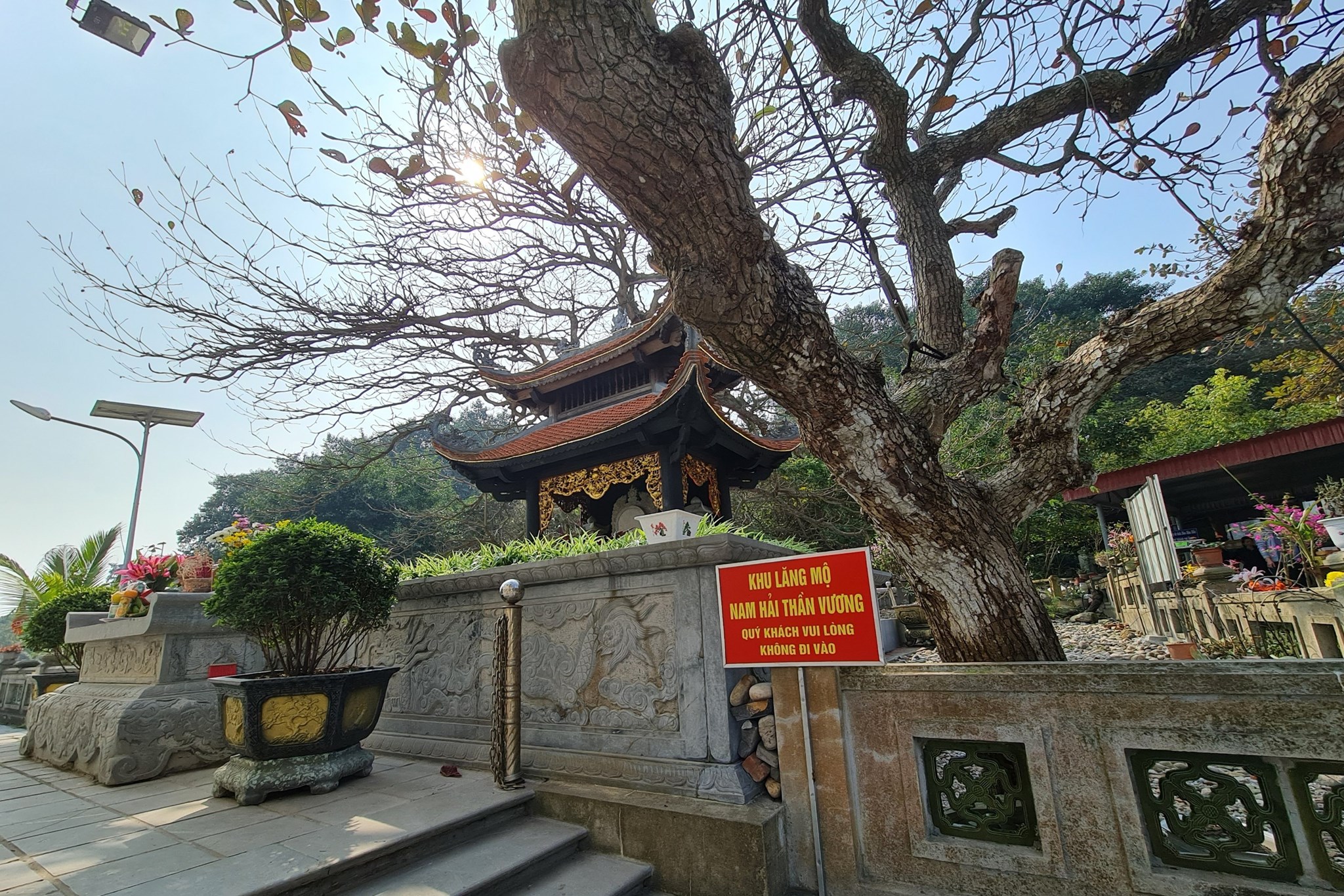 1441529fea50300e6941-cd4a4f1c65a24d8eb50edd63a4e69f15