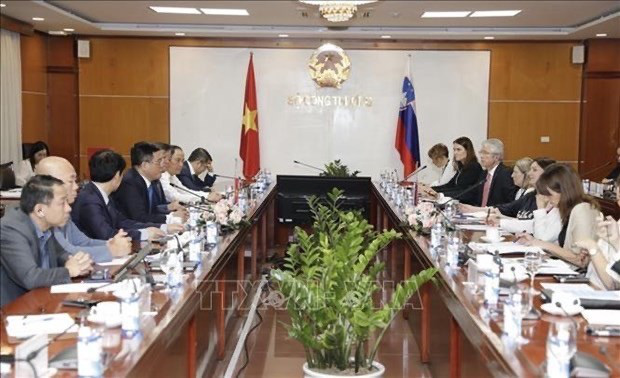 
At the working session between Minister of Industry and Trade Nguyen Hong Dien and the Slovenian Deputy PM. (Photo: VNA)
