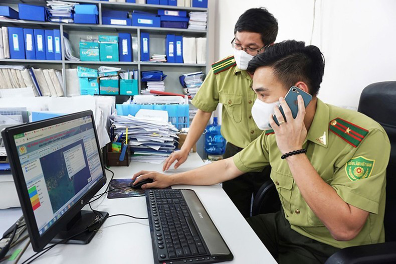 
Staff of Quang Ninh Provincial Forest Protection Department use satellite connection software in forest management and protection. (Photo by NGUYEN THANH)
