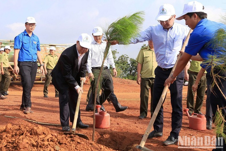 
Right after the launch ceremony, delegates and people in Gia Nghia city planted 1,000 trees around NTrang Long Monument.
