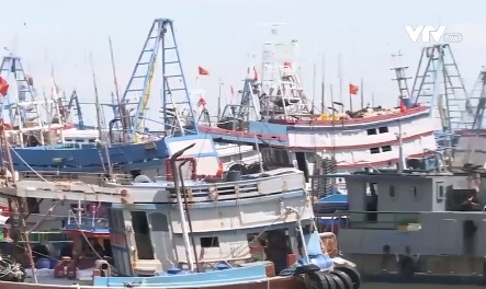 N&acirc;ng cao &yacute; thức ph&ograve;ng chống khai th&aacute;c thủy sản bất hợp ph&aacute;p - Ảnh 3.