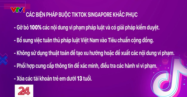 Các nội dung độc hại trên TikTok đã giảm đáng kể - Ảnh 2.